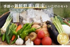 [№5334-0357]季節の新鮮野菜と菌床しいたけのセット アビトルベジタブル　野菜 詰め合わせ 旬 新鮮 京都府 南丹市
