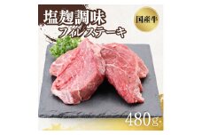 [№5334-0424]国産牛フィレステーキ塩麹調味　0.48kg(120gX2枚/P)X2P
