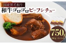 [№5334-0426]和牛ゴロゴロビーフシチュー750g