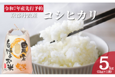 [№5334-0442]令和7年産予約 京都丹波産 コシヒカリ 5kg 白米