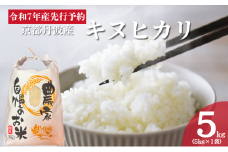 [№5334-0443]令和7年産予約 京都丹波産 キヌヒカリ 5kg 白米
