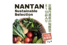[№5334-0445]Nantan Sustainable Selection 野菜セット 【10回定期便】