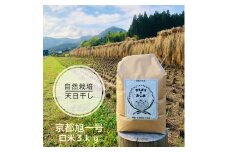 [№5334-0450]こだわりすぎたお米！自然栽培・天日干しの京都旭一号 白米3kg 栽培期間中農薬不使用米 無肥料米 栽培期間中化学使用不使用 希少品種 京都丹波地域 南丹市産 うるち米 白米 米 お米