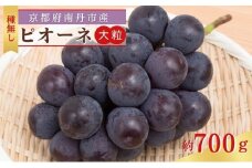 [№5334-0452]大粒 ピオーネ 1房 (700g前後) 種なし 葡萄 農家直送　ぶどう ブドウ 大粒 フルーツ 果物 南丹市 京都府