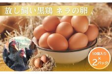 [№5334-0453]放し飼い 黒鶏 ネラの卵 20個 たまご 卵 鶏卵 玉子 南丹市 京都府