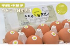 [№5334-0460]うちゅうの夜明け 平飼い有精卵 30個　卵 たまご 京都府 南丹市