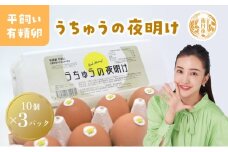 [№5334-0460]うちゅうの夜明け 平飼い有精卵 30個　卵 たまご 京都府 南丹市
