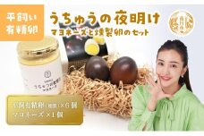 [№5334-0462]うちゅうの夜明け 燻製たまご 6個 マヨネーズセット　卵 燻製 調味料 マヨネーズ 有精卵 米酢使用 京都府 南丹市【※3月15日以降発送】