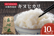 [№5334-0491]【2025年11月以降順次発送】 令和7年度産 新米予約 キヌヒカリ 10kg  京都丹波産 良心米　米 新米 白米 ごはん