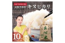 [№5334-0491]【2025年11月以降順次発送】 令和7年度産 新米予約 キヌヒカリ 10kg  京都丹波産 良心米　米 新米 白米 ごはん