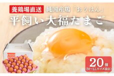 [№5334-0503]産地直送 大福たまご 20個