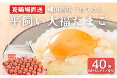 [№5334-0505]産地直送 大福たまご 40個