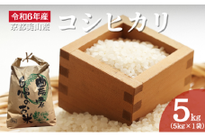 [№5334-0560]令和6年産 京都美山産コシヒカリ 5kg　こしひかり 精米 コメ こめ お米 単一原料米 ごはん ご飯 京都