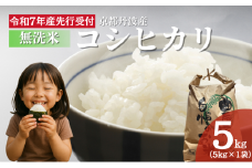 [№5334-0563]【無洗米】令和7年産 新米予約 コシヒカリ 5kg 【 お米 米 コメ 精米 南丹市 】