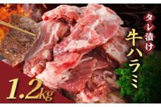 [№5334-0566]【訳あり】 タレ漬け 牛ハラミ 1.2kg 4P 肉 牛 牛肉 ハラミ 味付け タレ ハラミ肉 BBQ バーベキュー 焼き肉 焼肉 焼肉セット アウトドア キャンプ ギフト 真空 パック 小分け 300g 個包装 簡単 便利 冷凍 人気 京都 南丹市 神戸 ミートフーズ