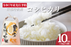[№5334-0568]令和7年産 京都丹波産 コシヒカリ 10kg　白米