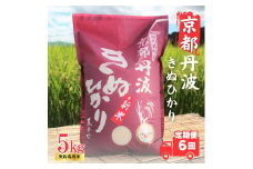 [№5334-0320]【6カ月定期便】令和6年産 新米 京都丹波産 きぬひかり 5kg 合計30kg