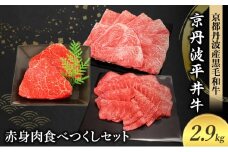 [№5334-0588]国産黒毛和牛 赤身肉食べつくしセット 2.9kg 京丹波平井牛 京都丹波産