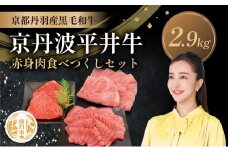 [№5334-0588]国産黒毛和牛 赤身肉食べつくしセット 2.9kg 京丹波平井牛 京都丹波産