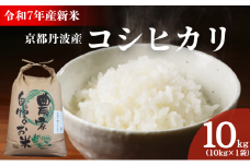 [№5334-0655]令和7年産新米 京都丹波産コシヒカリ 10kg　米 こしひかり 精米 白米 