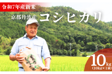 [№5334-0655]令和7年産新米 京都丹波産コシヒカリ 10kg　米 こしひかり 精米 白米 