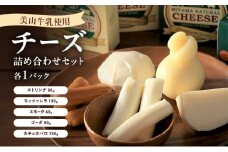 [№5334-0668]美山牛乳 チーズ 詰め合わせセット |  ストリング モッツァレラ スモーク ゴーダ カチョカバロ セット おつまみ 食べ比べ 乳製品 南丹市