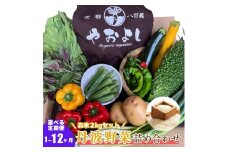 [№5334-0260]＜京野菜の京都やおよし＞丹波野菜詰め合わせ お米2kgのセット《栽培期間中農薬不使用 野菜》※北海道・沖縄・離島への発送不可