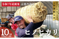 [№5334-0693]令和7年産 京都丹波産 ヒノヒカリ 10kg 京都 丹波 京都丹波 京都丹波産 お米 米 ごはん 美味しい 産地直送 安心安全 旨み 香り 歯ごたえ 京都産 送料無料