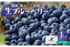 2026年発送 先行予約 木津川市産ブルーベリー1kg 生ブルーベリー 新鮮 ブルーベリー 国産 果物 小分け ベリー べりー ブルーベリー ぶるーべりー 生 小分け【080-01】