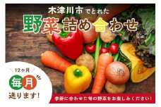 ＜京都産＞木津川市でとれた野菜詰め合わせを１２か月毎月送ります！ 野菜 やさい 詰め合わせ 定期便 野菜詰め合わせ 野菜定期便 新鮮 旬の野菜 季節の野菜 京野菜 産地直送 農産物直売所 12か月 12回【038-01】