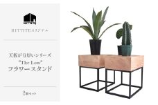 HITTITEの天板が分厚いシリーズ  "The Low 36"  フラワースタンド 2台 テーブル フラワースタンド インテリア 家具 【063-11】