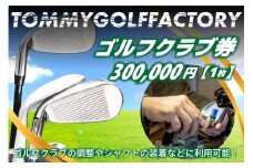 ＜京都 木津川＞ゴルフクラブ券(300,000円)(ゴルフクラブの調整やシャフトの装着などに利用可能) ゴルフクラブ券 300,000円分 ゴルフクラブの調整 シャフトの装着 ゴルフ ゴルフクラブ シャフト 調整 装着 クラブ制作 リシャフト クラブフルチューニング バランス調整 ロフト/ライ調整 パターロフト/ライ調整 グリップ交換 クラブ測定診断【052-07】