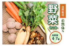＜京都府木津川産＞自然体な野菜セット(旬の野菜4～7種) 自然栽培 無肥料 野菜 やさい 野菜セット こだわり 特別栽培 野菜詰合せ 旬の野菜 新鮮 Red Rice 自然農園 京都府 木津川 【086-02】