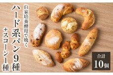 ハード系 パン9種＋スコーン 1種セット！ 自家培養酵母で焼くハード系パン 合計10点 国産小麦で作るハード系パン 自家製酵母のハード系パン 朝食 パン 軽食 おやつ パン 自然素材「Boulangerie Faveur」京都府 木津川市 【065-04】