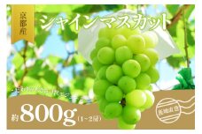 ＜京都産＞シャインマスカット　約800g （1～2房） 【007-02】