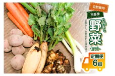 ＜京都産野菜定期便6回＞自然体な野菜セット 旬の野菜 野菜詰合せ 野菜セット 野菜定期便 6回 自然農園 自然栽培 安心 安全 健康 マクロビ ベジタリアン 定期便 京野菜 京都 木津川 【086-02-T02】