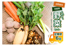 ＜京都産野菜定期便6回＞自然体な野菜セット 旬の野菜 野菜詰合せ 野菜セット 野菜定期便 6回 自然農園 自然栽培 安心 安全 健康 マクロビ ベジタリアン 定期便 京野菜 京都 木津川 【086-02-T02】