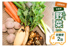 ＜京都産野菜定期便2回＞自然体な野菜セット 旬の野菜 野菜詰合せ 野菜セット 野菜定期便 2回 自然農園 自然栽培 安心 安全 健康 マクロビ ベジタリアン 定期便 京野菜 京都 木津川【086-02-T04】