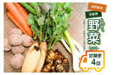 ＜京都産野菜定期便4回＞自然体な野菜セット 旬の野菜 野菜詰合せ 野菜セット 野菜定期便 ４回 自然農園 自然栽培 安心 安全 健康 マクロビ ベジタリアン 定期便 京野菜 京都 木津川【086-02-T03】