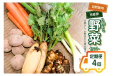 ＜京都産野菜定期便4回＞自然体な野菜セット 旬の野菜 野菜詰合せ 野菜セット 野菜定期便 ４回 自然農園 自然栽培 安心 安全 健康 マクロビ ベジタリアン 定期便 京野菜 京都 木津川【086-02-T03】