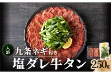 【父の日ギフト】≪6月15日お届け≫【大盛九条ネギ】 塩ダレ牛タン250g 薄切り タン 牛タン 九条ねぎ 味付きタン 簡単 焼肉 牛肉 京都府 木津川市 塩だれ牛タン 牛タン塩 味付き 焼くだけ 【093-04-F】