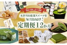 【定期便12か月】木津川市厳選スイーツを毎月お届け！定期便 スイーツ スイーツ定期便 12回 おやつ 京オペラ抹茶九重ケーキ 美抹茶 どらやき 木津川焼菓子詰め合わせ 神ティラミス  神ちょこ いづみの茶処ラスク 生クリーム大福 木の津ようかん 菓子詰め合わせ松竹梅(竹) 京都みるくサンドクッキー 栗パイ10ケ入り 神マーブルレアチーズケーキ  人気スイーツ 定期便スイーツ  【0001-T02】