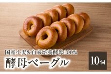 国産小麦＆自家培養酵母100％　酵母ベーグル10個 ベーグルセット プレーン ベーグルパン パンベーグル もちもち ふわふわ 食べ応え 天然素材 おやつ 朝食 ベーグル 酵母 ベーグル 冷凍【065-09】