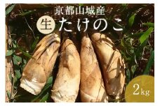 京都山城産たけのこ２ｋｇ（生）白子たけのこ たけのこ タケノコ 筍 竹の子 柔らかい 農家直送【016-01】
