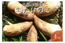京都府山城産たけのこ４ｋｇ（生）白子たけのこ たけのこ タケノコ 筍 竹の子 柔らかい 農家直送【016-02】