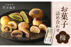 【お中元ギフト】【御菓子司　長盛堂】菓子詰め合わせ松竹梅(梅)  自家製餡 和菓子  ギフト 京都府 ≪7月1日～8月15日の期間に発送≫ 【009-08-C】