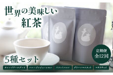 【全12回定期便】世界の美味しい紅茶５種セット  紅茶 紅茶専門店 紅茶詰め合わせ 紅茶セット ティータイム ティーバッグ【010-03-T4】