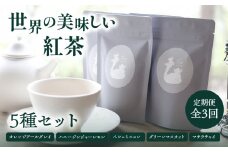 【全3回定期便】世界の美味しい紅茶５種セット  紅茶 紅茶専門店 紅茶詰め合わせ 紅茶セット ティータイム ティーバッグ【010-03-T2】