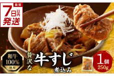 【スピード発送】最短7日以内発送！！和牛100％の贅沢なすじ煮込み 250g×1個【093-09-S】　