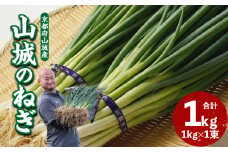 山城のねぎ 1kg 京野菜 ネギ 山城のねぎ 京都府 木津川市 ねぎ 葱 京都府産 野菜  【001-12】